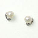 White Pearl Earrings
