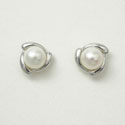 White Pearl Earrings